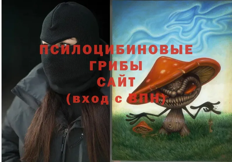 Псилоцибиновые грибы Psilocybe  ссылка на мегу   Моздок 